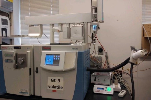 Thermo Trace 1310 GC couple with ISQ single quadruple MS with headspace autosampler and olfactory detector (Metabolomics)