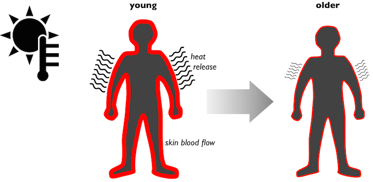 releasing heat as we age