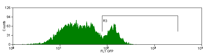 GFP transfected cell population prior to sorting
