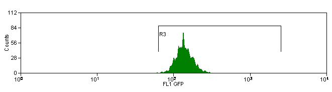 GFP positive cells selected, post sort purity check