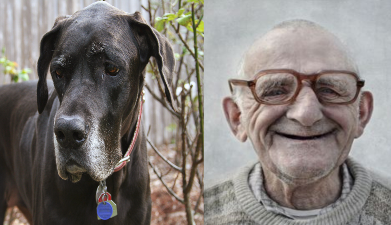 granddads and great danes