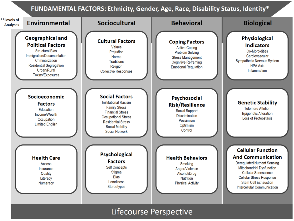 NIA Health Disparities Research Framework