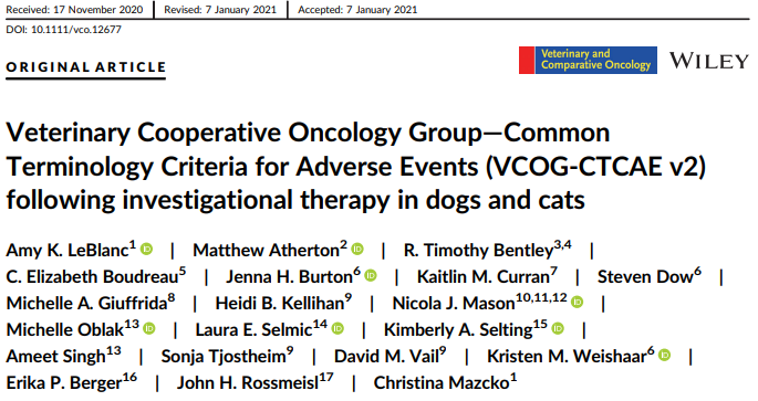 Vet oncology group paper