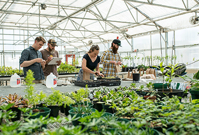 CSU Researchers in Greenhouse